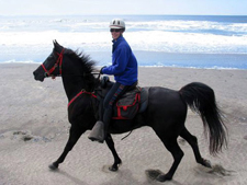 USA-California-Redwood Coast Ride